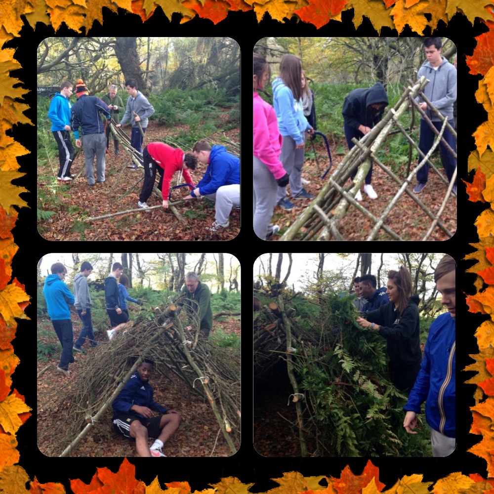 Shelter Building Antics