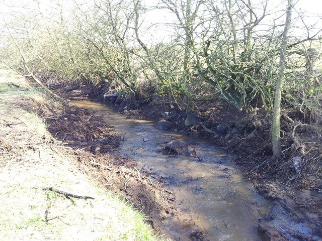 Glen Burn After