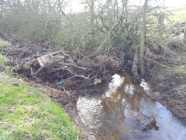 Glen Burn Before