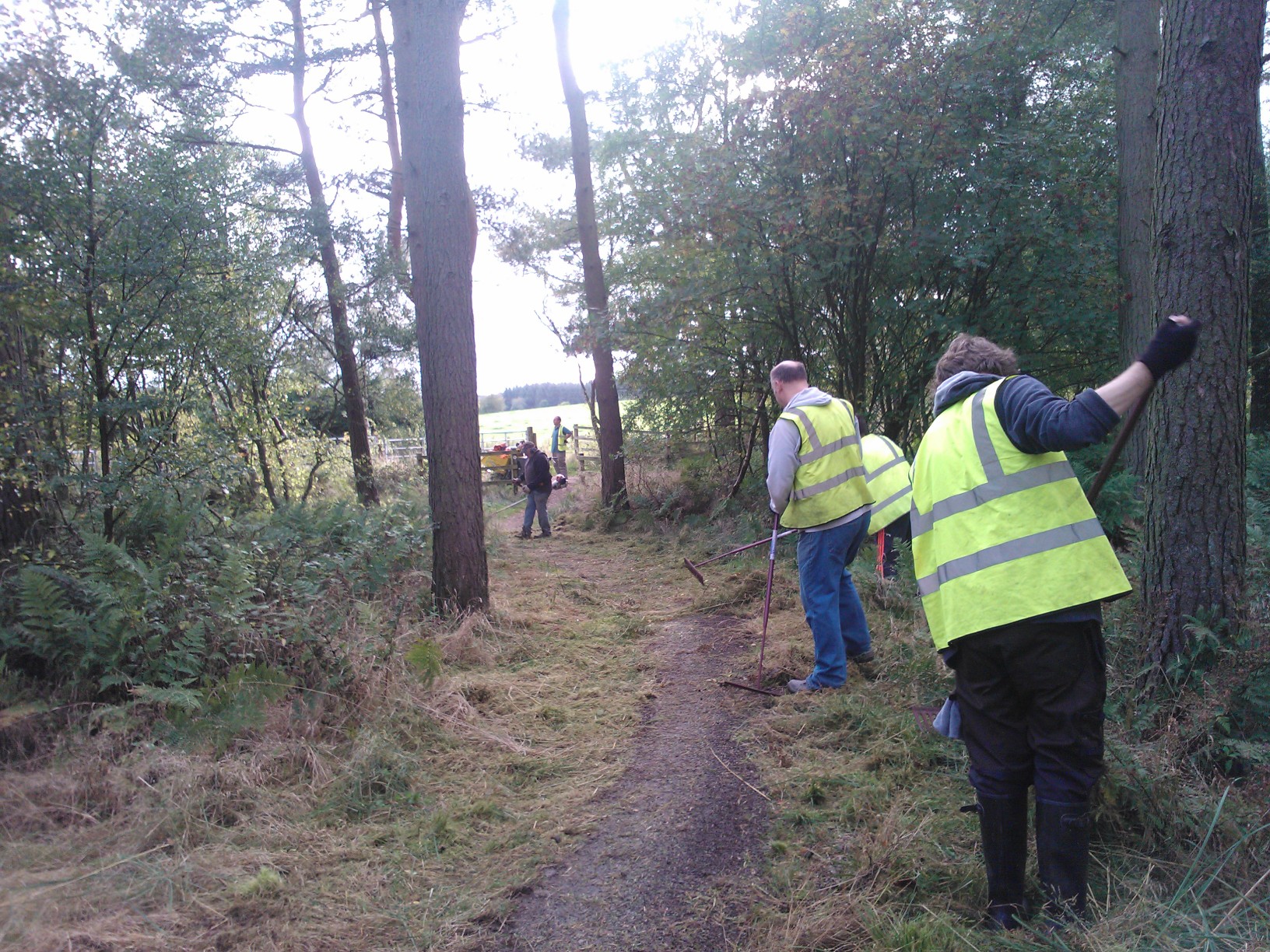 Trail Crew Volunteers Hard At It!