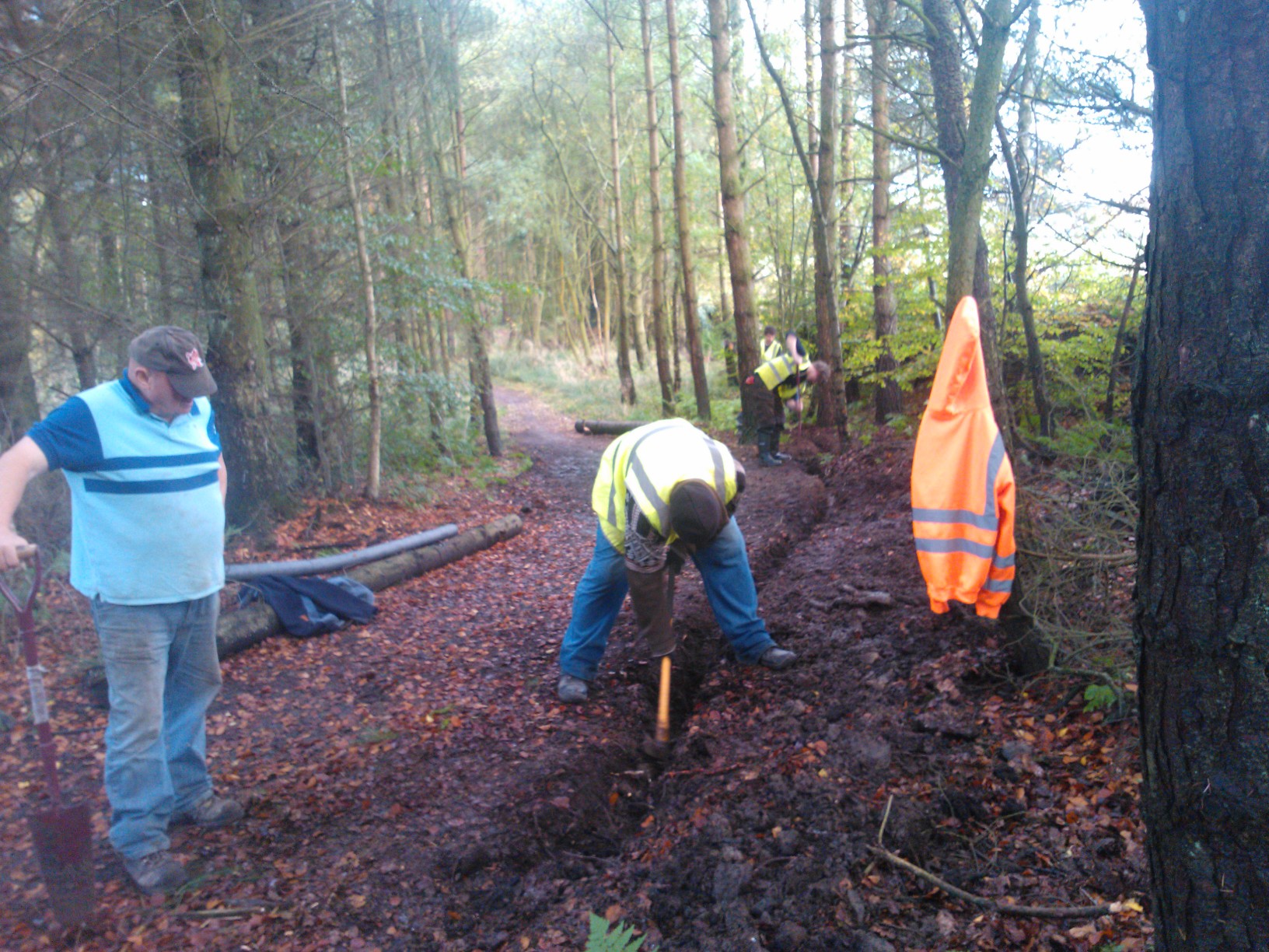 Drain Cutting