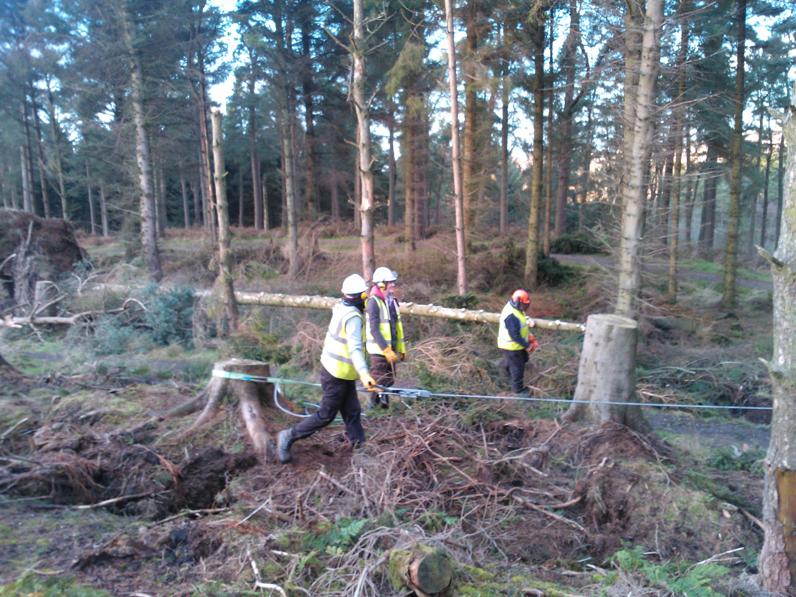 One down, lots more to go... trail crew winch