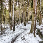 Trails in winter2