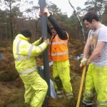 Howirigg Conservation