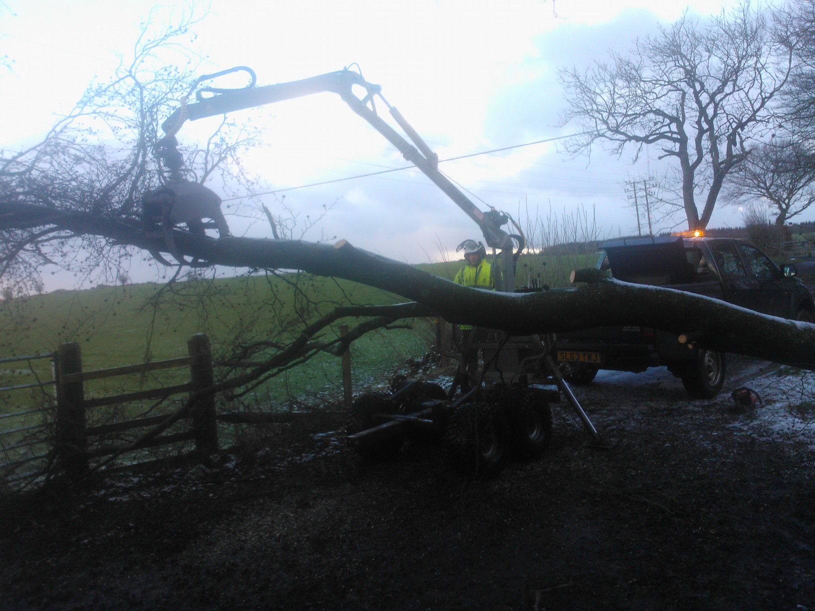 Windblow Clear Up